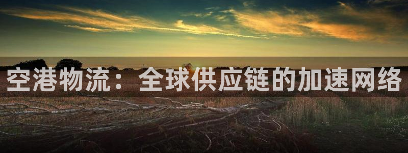 多多28pg如何退钱：空港物流：全球