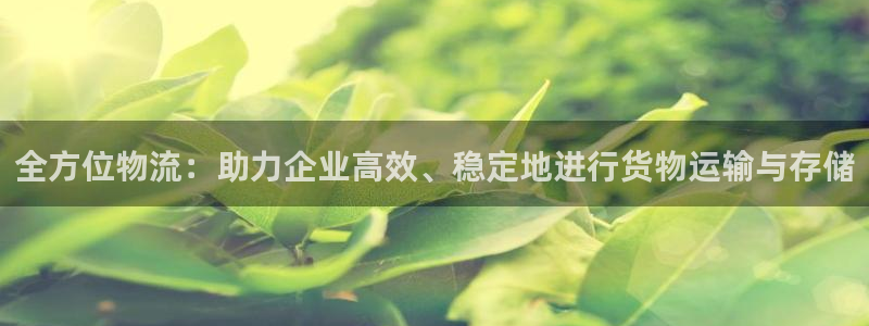 多多28h5链接：全方位物流：助力企