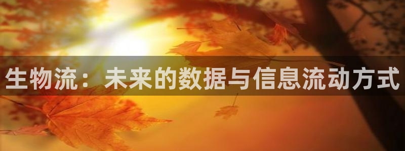 多多28怎么注册下载:生物流:未来的