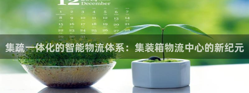 多多28官网下载链接怎么弄：集疏一体