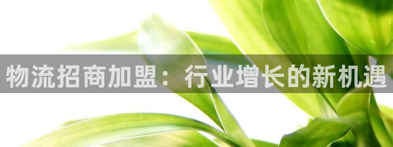 多多28分分28输了能不能退：物流招