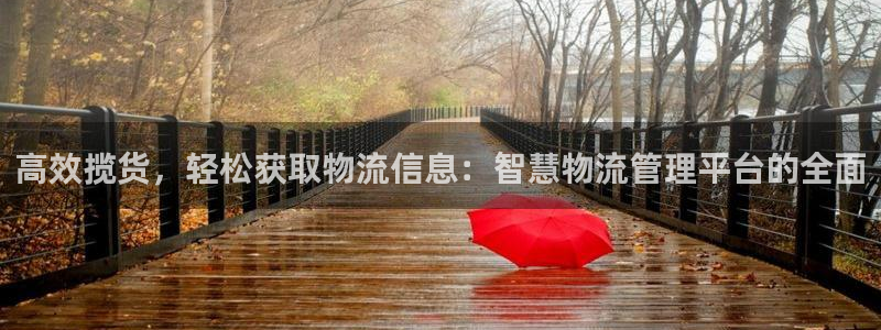 多多28网站平台是多少：高效揽货，轻