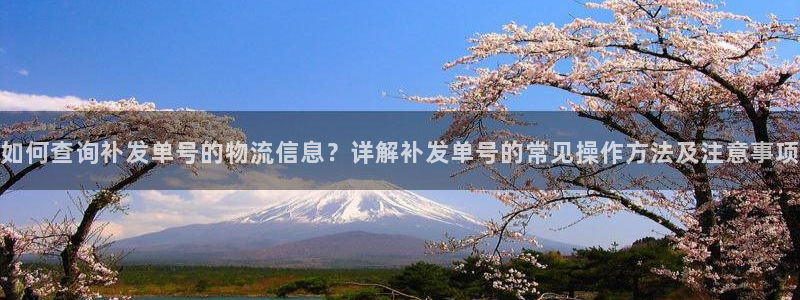 多多28大舞台：如何查询补发单号的物