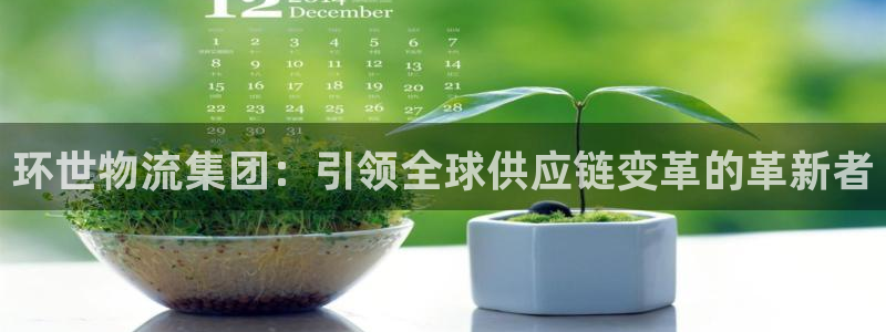 多多28注册条件：环世物流集团：引领