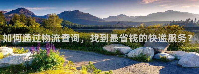 多多28龙虎：如何通过物流查询，找到