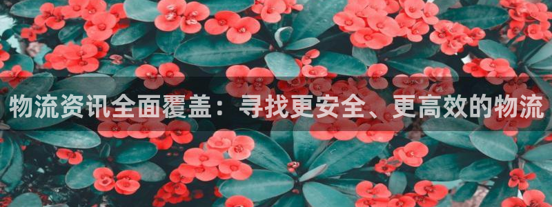 多多28如何看计划：物流资讯全面覆盖