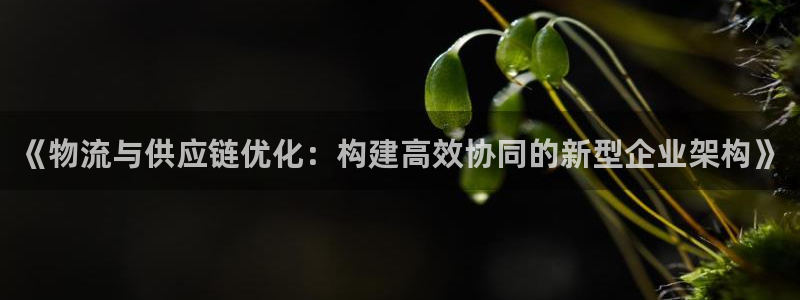 多多28哪个最赚钱：《物流与供应链优化：构建高效协同的新型企