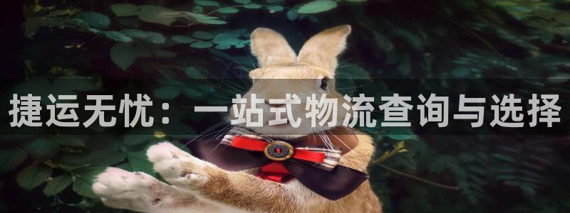 多多28开奖预测