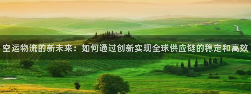 多多28加拿大能提现吗：空运物流的新未来：如何通过创新实现全