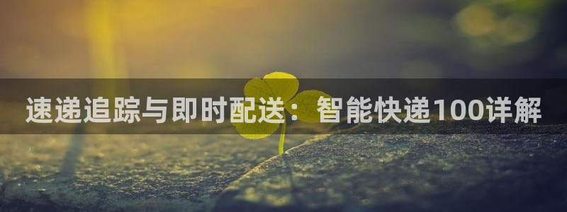 多多28忘记账号:速递追踪与即时配送