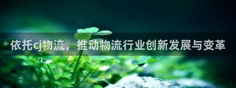 多多28流水怎么算：依托cj物流，推动物流行业创新发展与变革