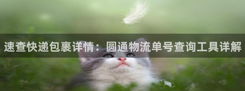 多多28加拿大技巧：速查快递包裹详情