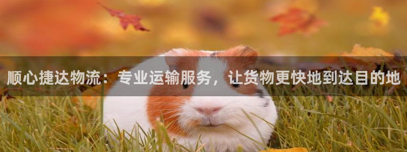 多多28连接