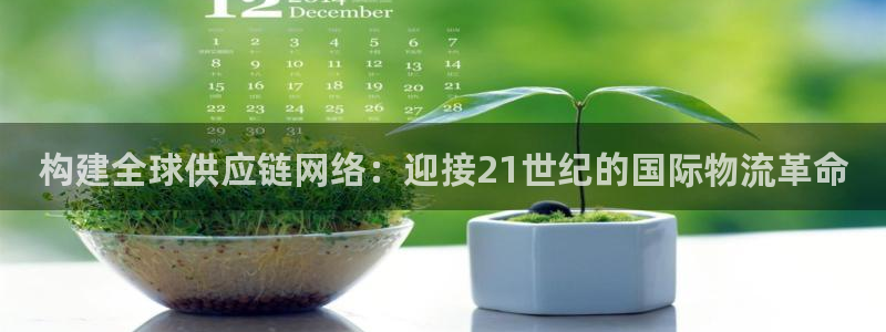 多多28充值不到账什么原因：构建全球