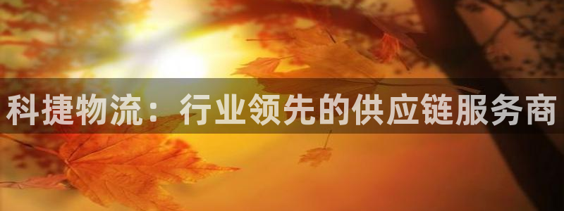 多多28app注册地址：科捷物流：行