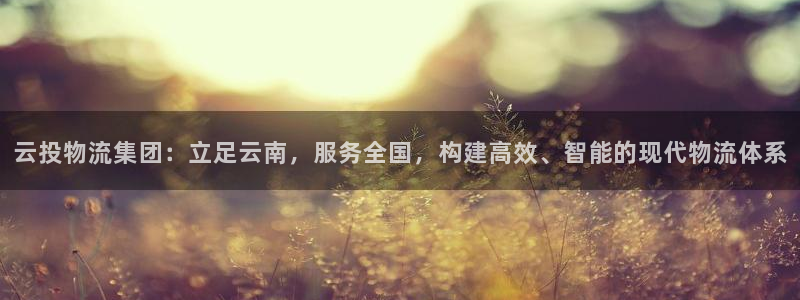 多多28入口问一问：云投物流集团：立