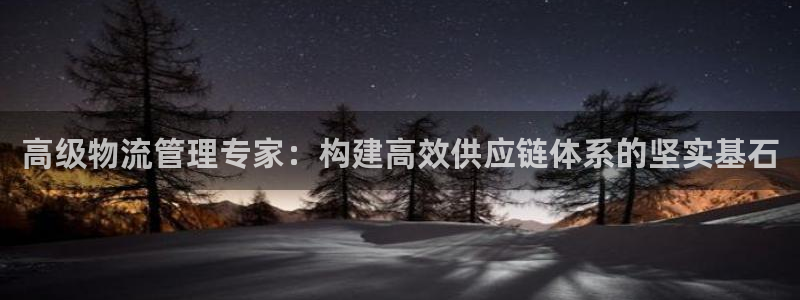 多多28里的财神:高级物流管理专家: