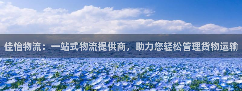多多28注册与教程:佳怡物流:一站式