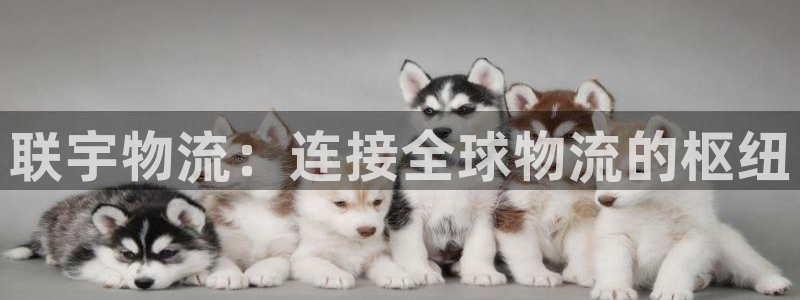 多多28连输10天