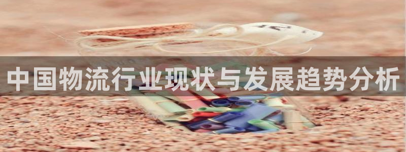 多多28网站平台：中国物流行业现状与发展趋势分析
