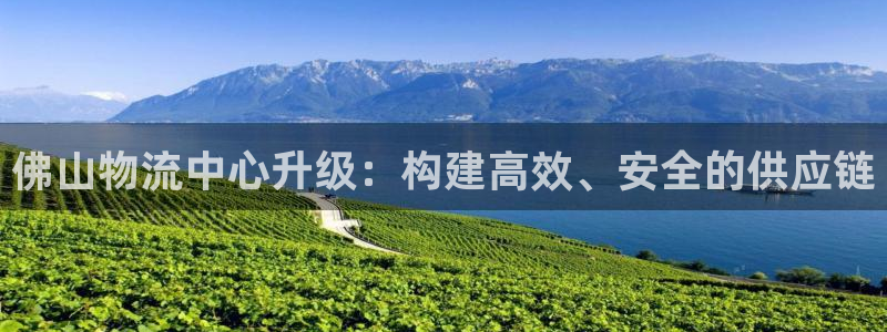 多多28怎么注册账号和密码